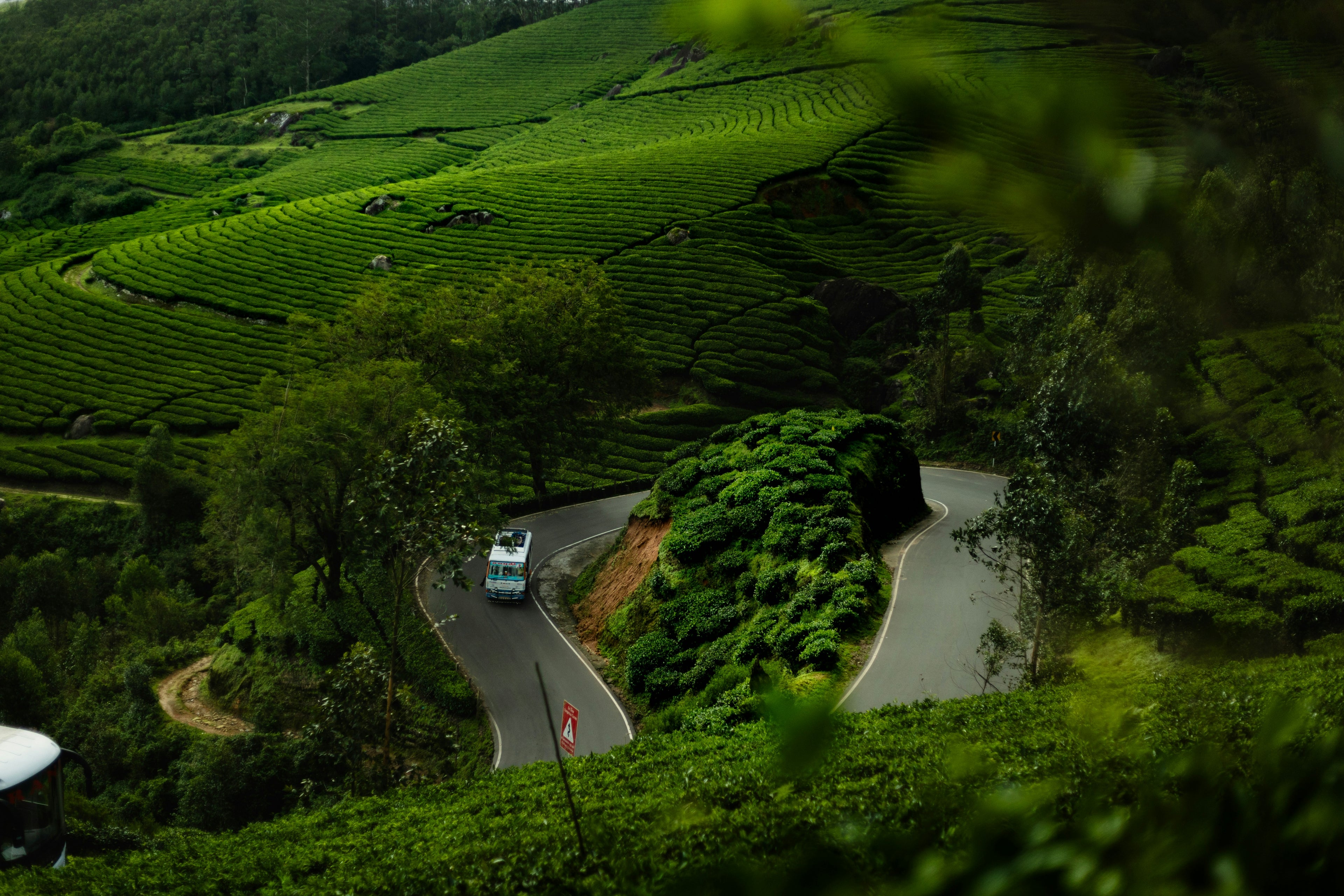 Wayanad Tour Package-2Day/1 Night