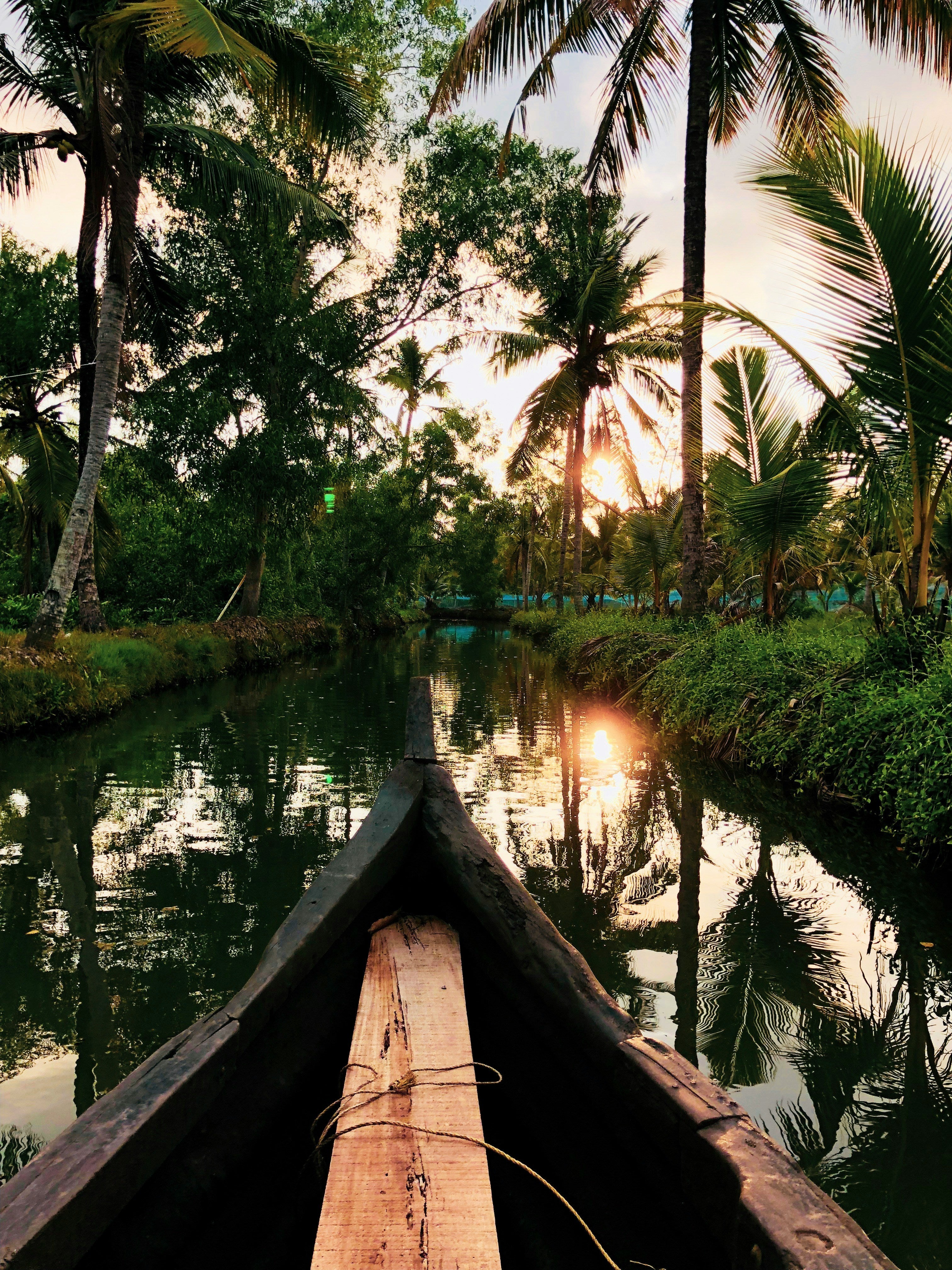 Kerala Tour Package3Days/1 Night