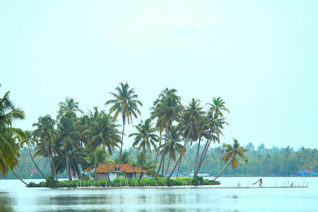 Kochi City -1Day Package
