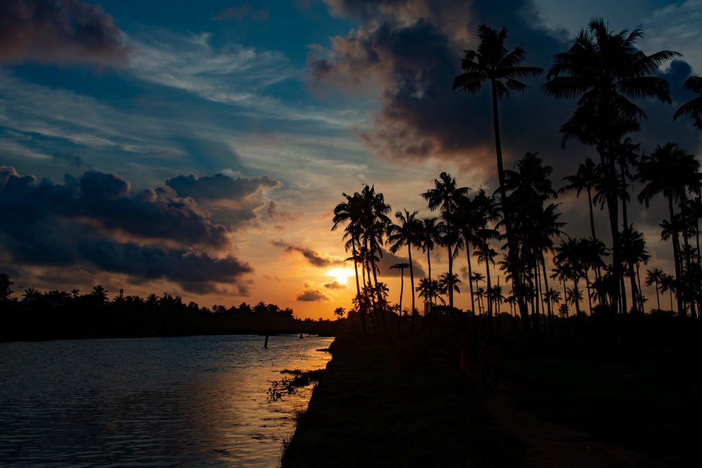 Kochi City -1Day Package