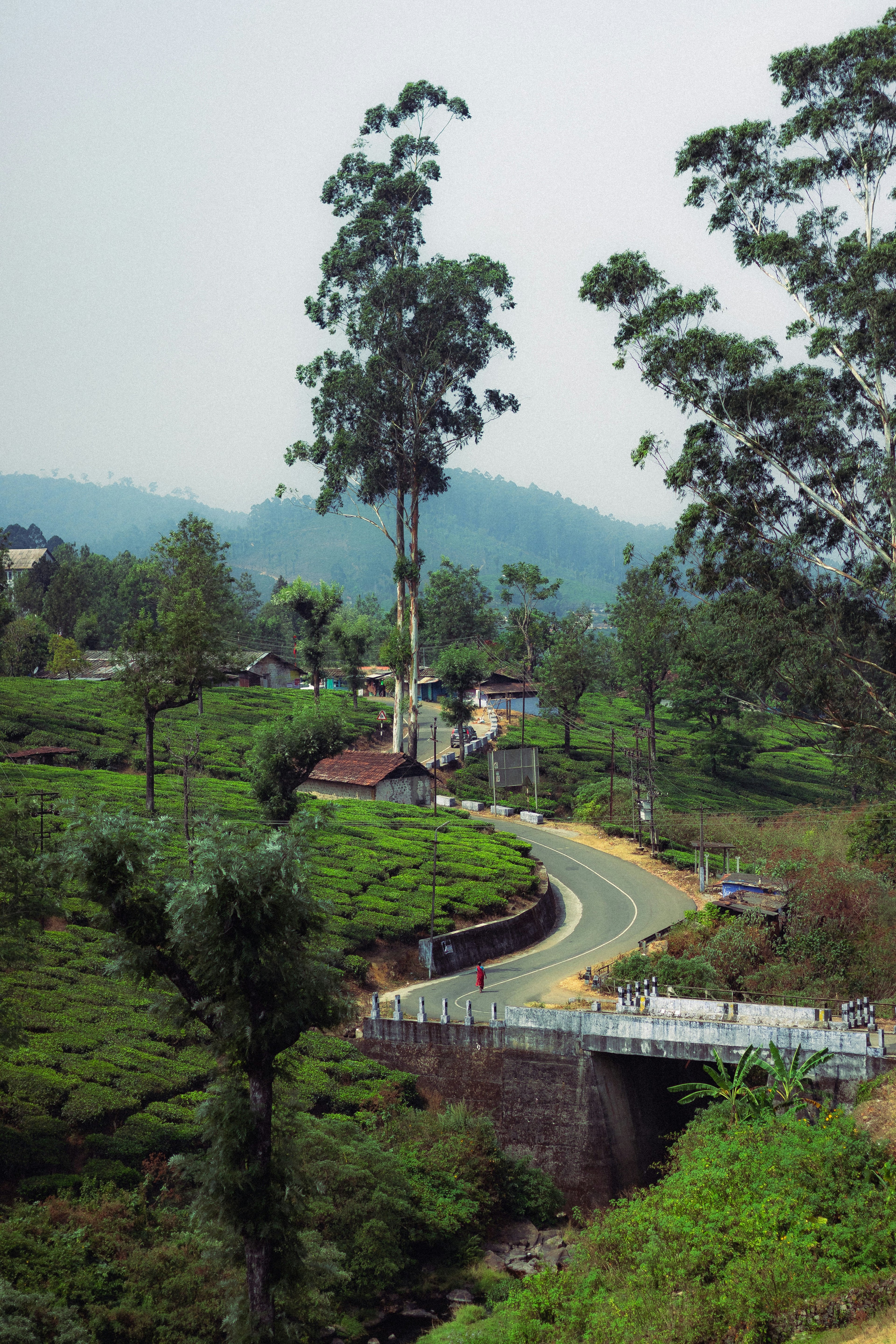 Ooty Tour Package -2 Days /1 Night]