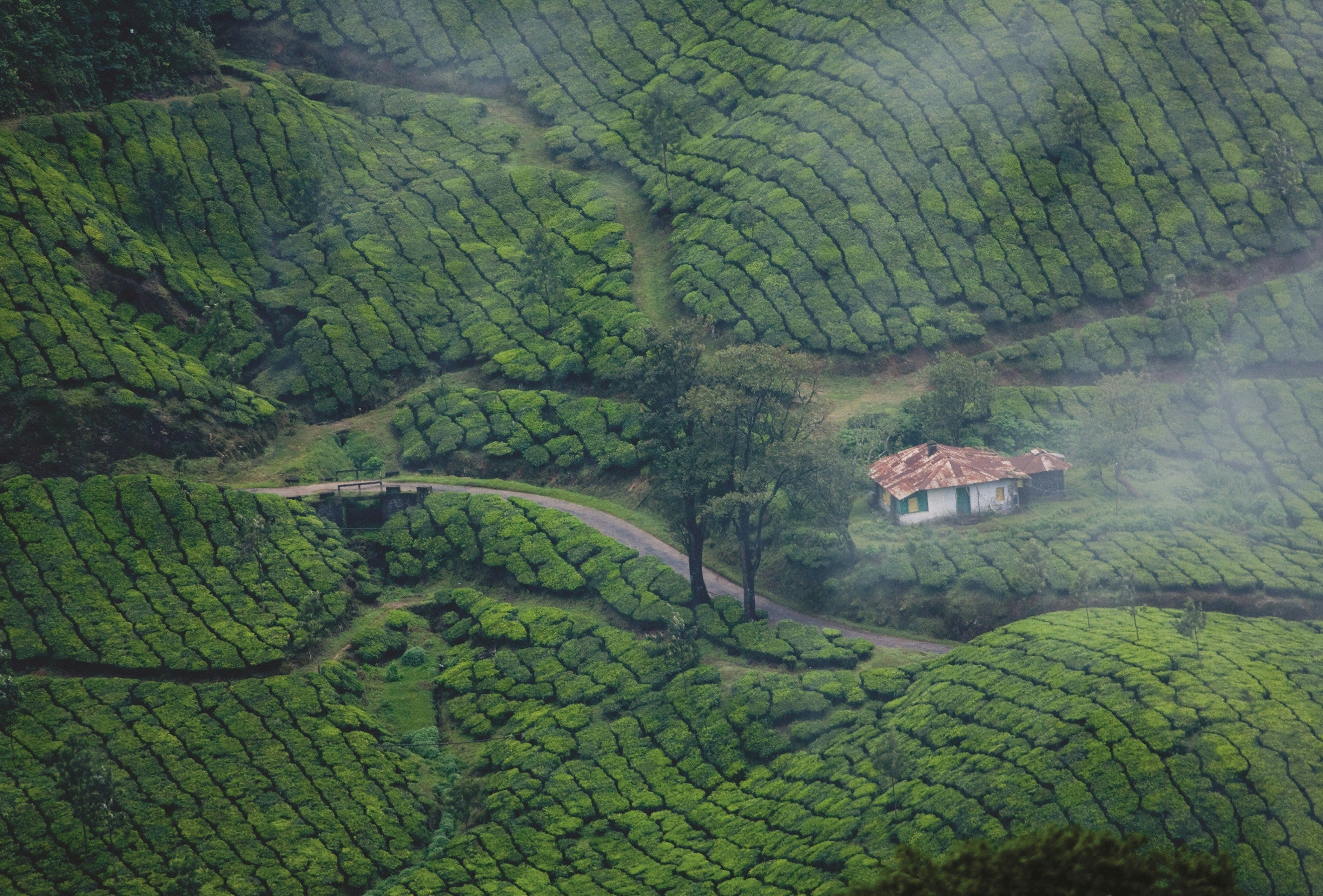Kerala Tour Package3Days/1 Night