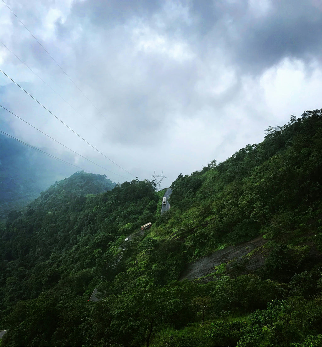 Wayanad Tour Package-2Day/1 Night