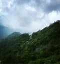 Wayanad Tour Package-2Day/1 Night