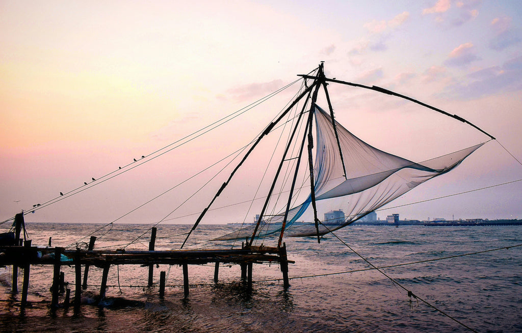 Kochi City -1Day Package