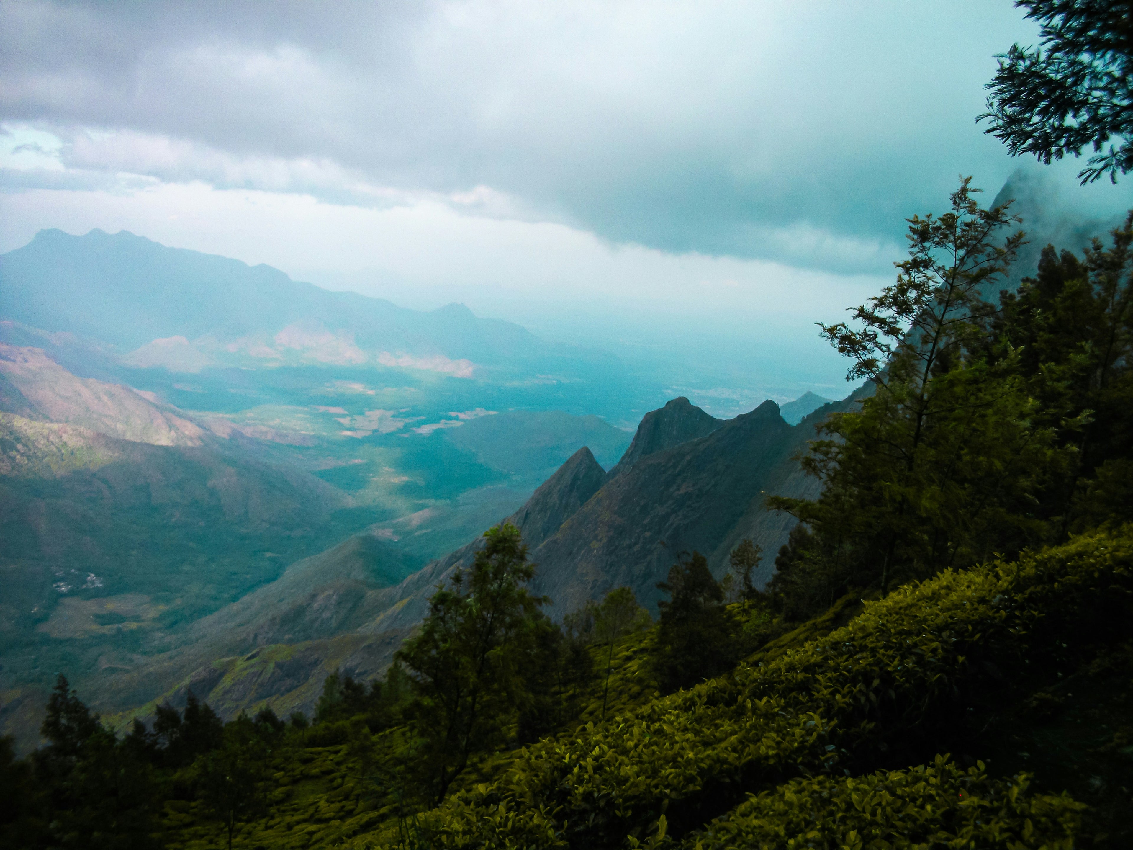 Kerala Tour Package3Days/1 Night