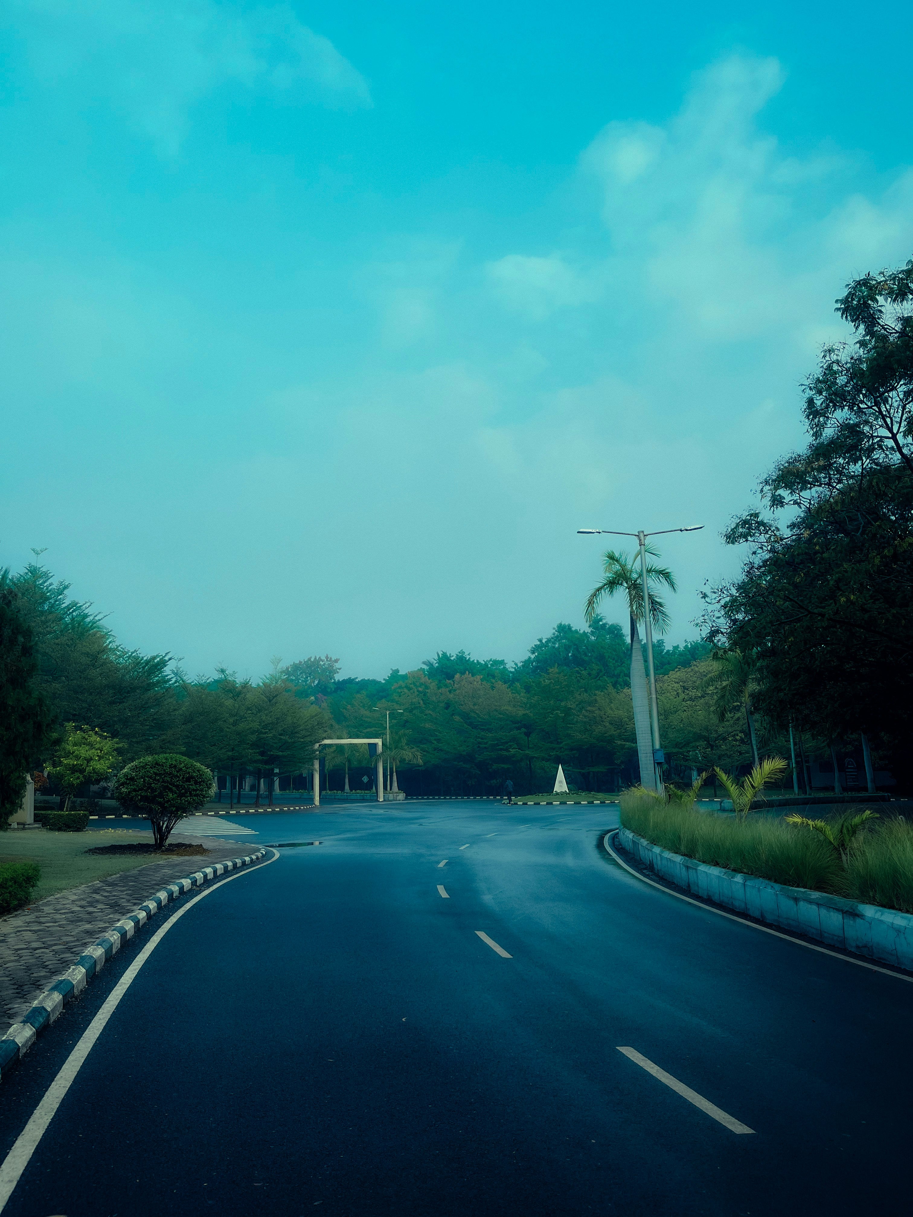One Day Munnar Package – Starts from Kochi 4AM | ₹2000 Per Head