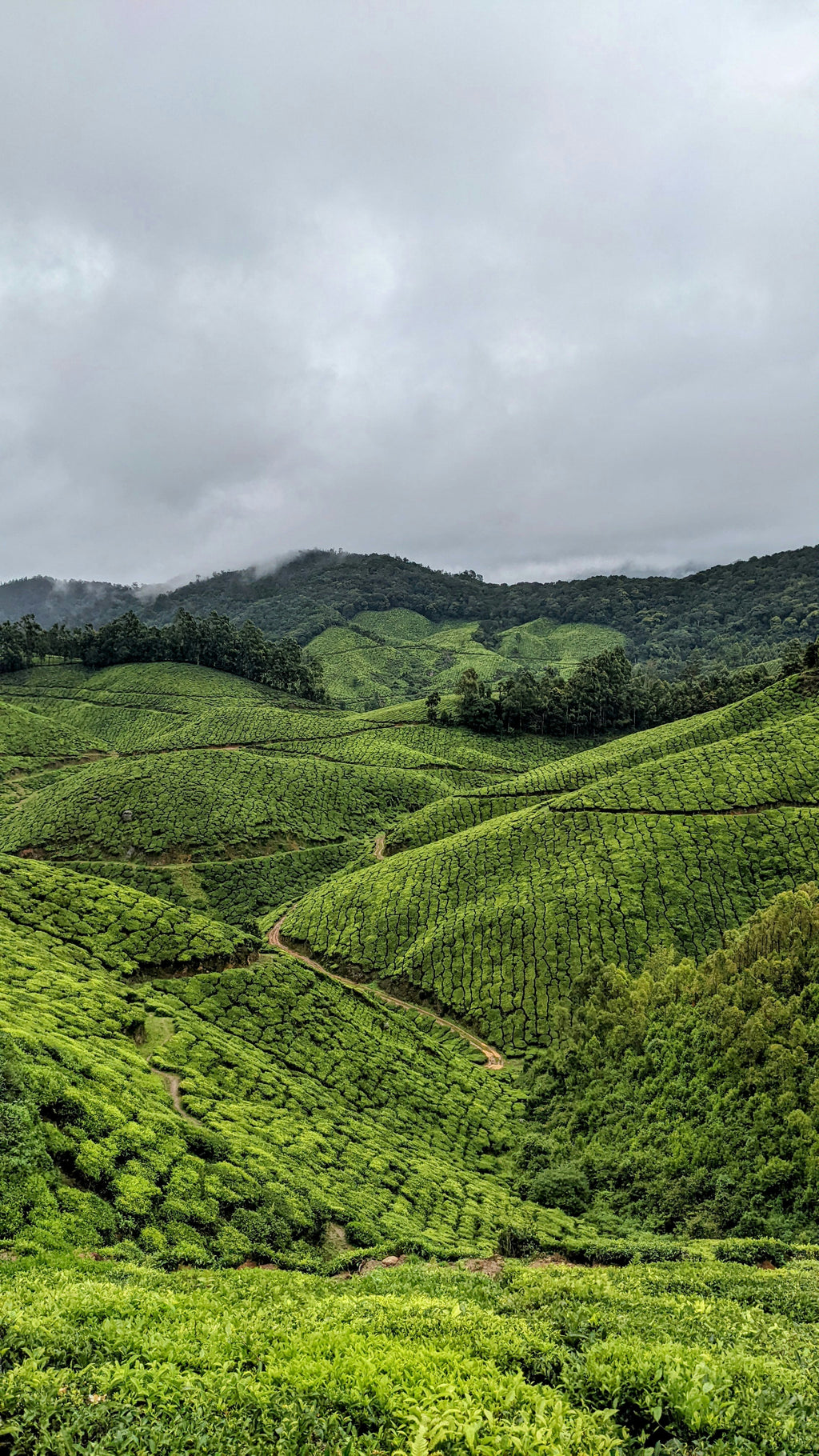 Munnar Package