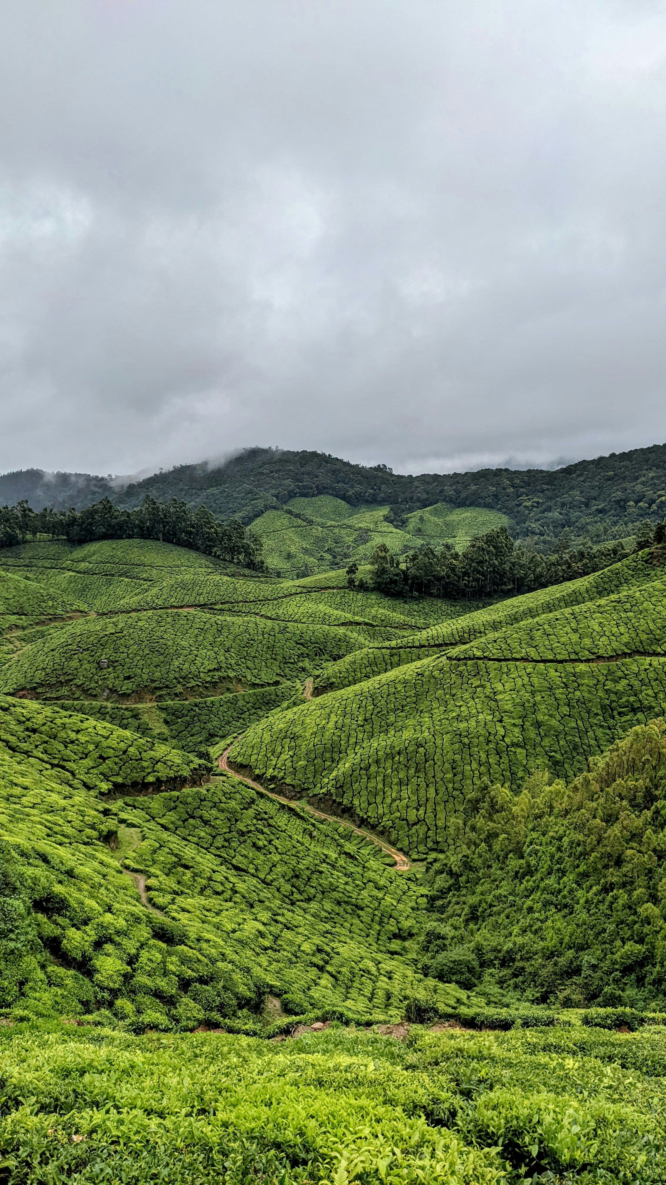 Munnar Package