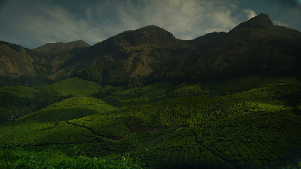 Ooty Tour Package -2 Days /1 Night]