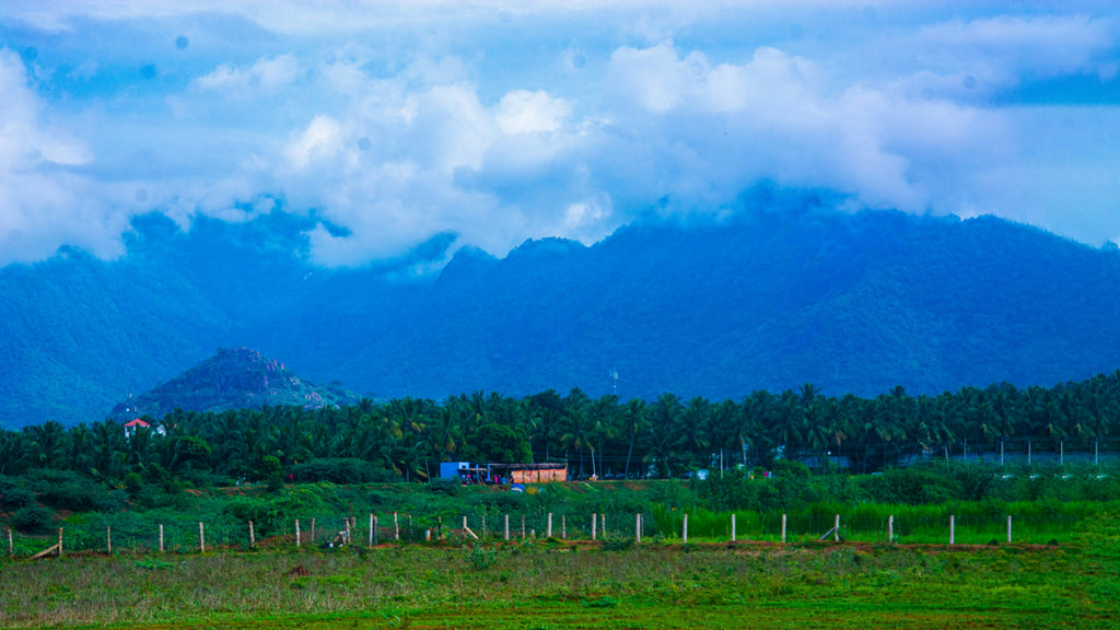 Ooty Tour Package -2 Days /1 Night]
