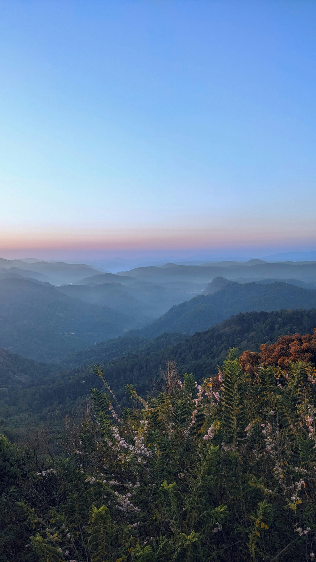 Munnar Package