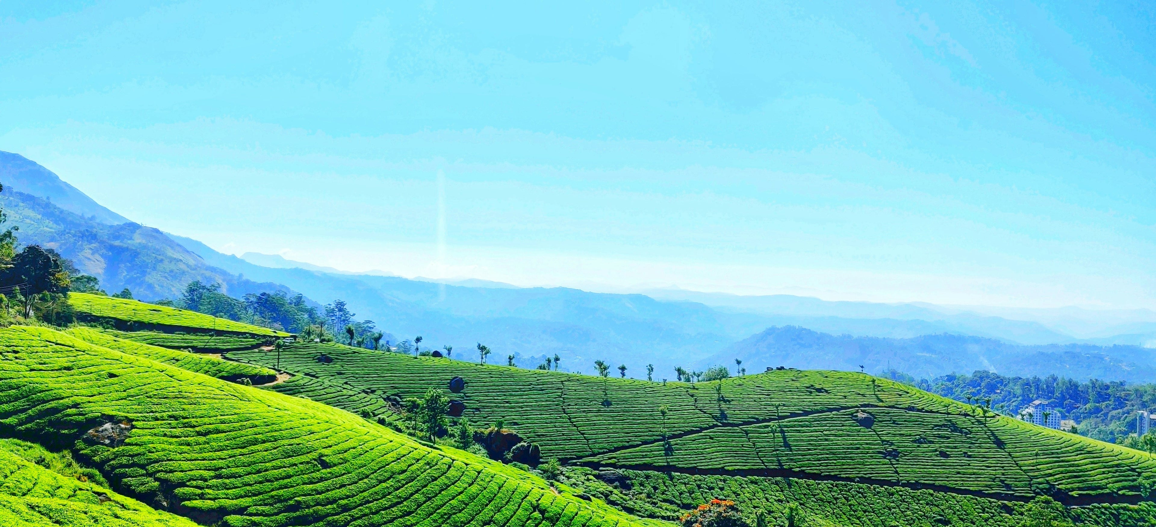 Munnar Package