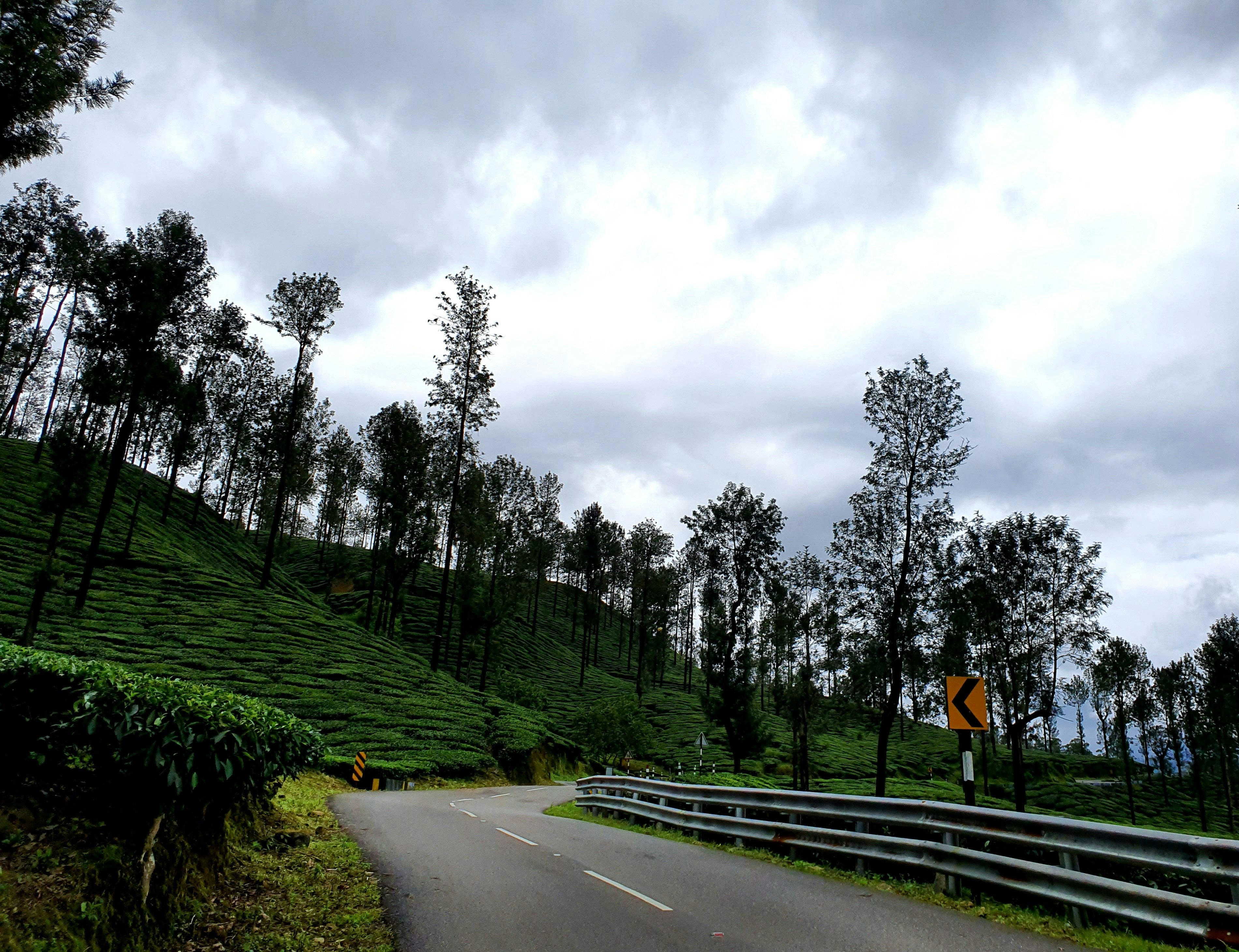 Ooty Tour Package -2 Days /1 Night]