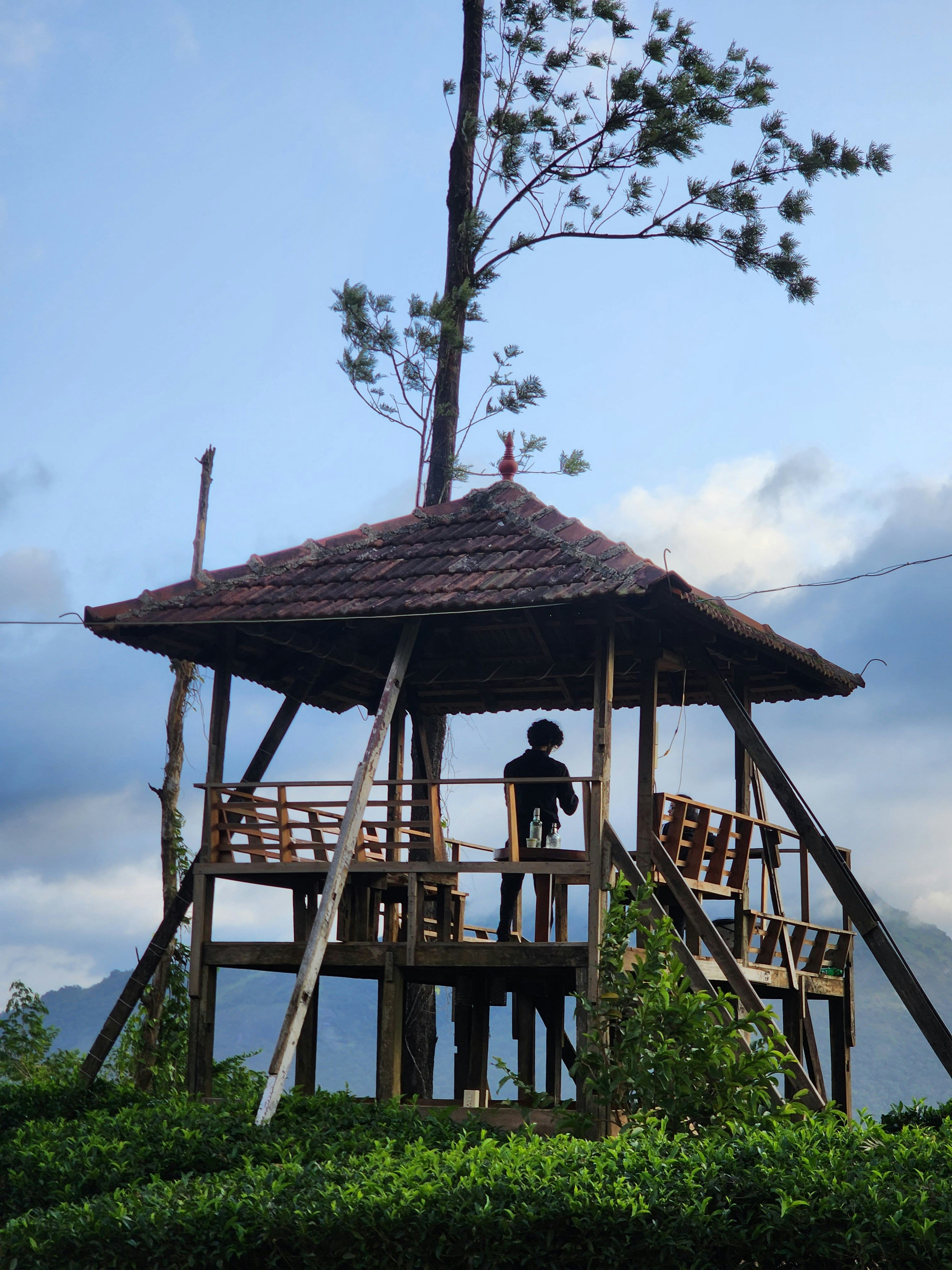 Wayanad Tour Package-2Day/1 Night